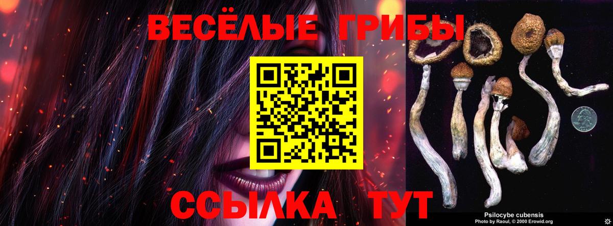 купить наркотик  Псилоцибиновые грибы MAGIC MUSHROOMS  Вход с VPN  Зеленодольск 